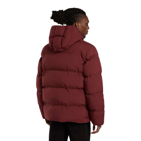 Куртка Dickies Eagleville Hooded Puffer DK0A87OHL161 (andorra)