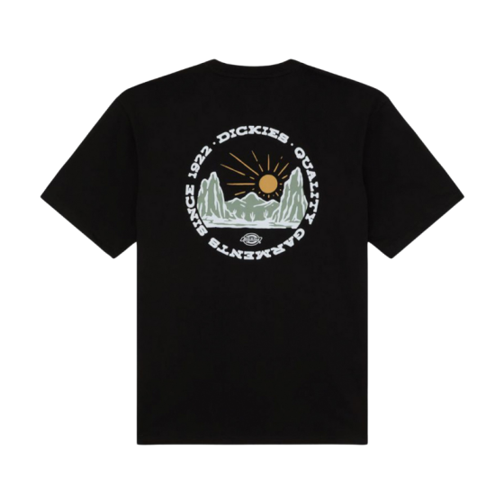 Футболка Dickies Outdoor Ss Tee DK0A4Z8PBLK1 (black)