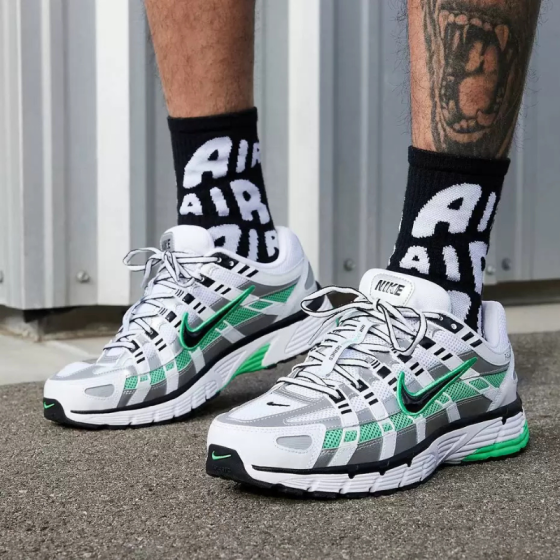 Кроссовки Nike P-6000 CD6404-104 (white-black-met silver)