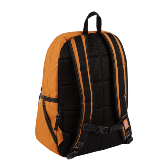Рюкзак Dickies Ashville Backpack DK0A4Y330BD1 (brown duck)