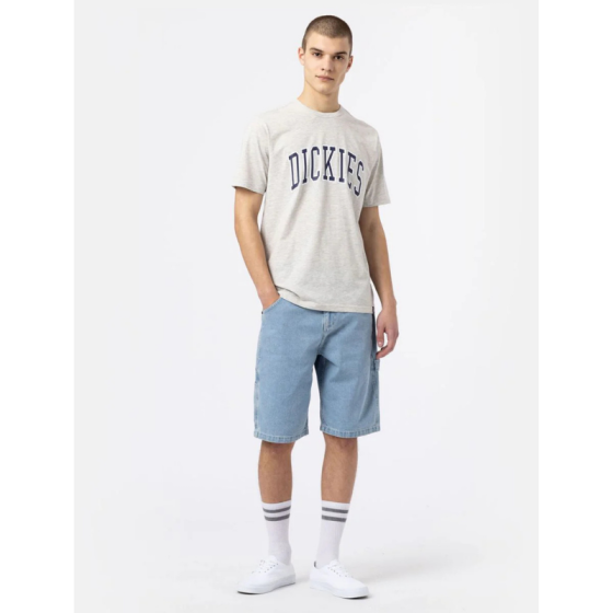 Шорты Dickies Garyville Denim Shorts DK0A4XCKC151 (vntg blue)